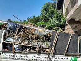 Best Attic Cleanout  in Morris, IL