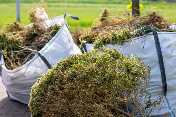 Best Residential Junk Removal  in Morris, IL